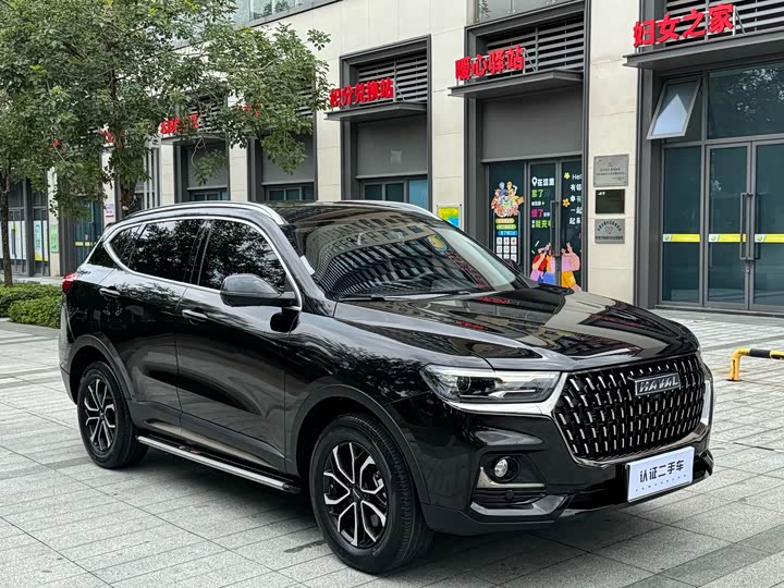 Haval H6 2023 National Trend Edition 1.5T Automatic Urban Version - zdjęcie 15