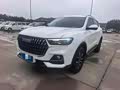 Haval H6 2023 National Trend Edition 1.5T Automatic Urban Version - zdjęcie 19