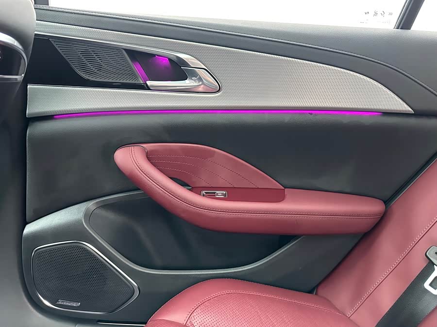 Hongqi H5 2023 2.0T Auto Intelligent Connectivity Flagship - zdjęcie 19