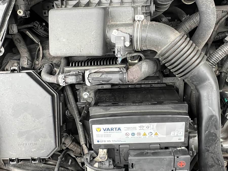 Leiling 2023 185T CVT Sport - zdjęcie 14