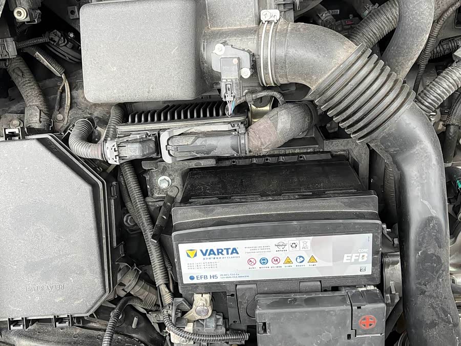 Leiling 2023 185T CVT Sport - zdjęcie 15