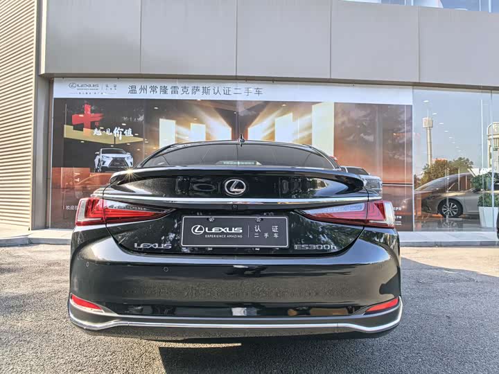 Lexus ES 2022 300h Excellence - zdjęcie 17