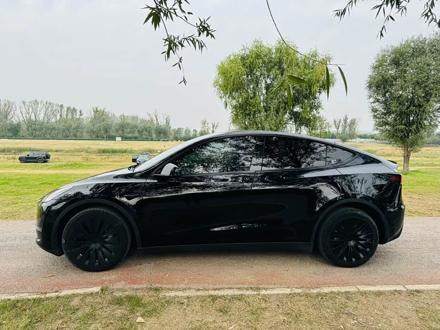 Model Y 2023 Long Range AWD - zdjęcie 8
