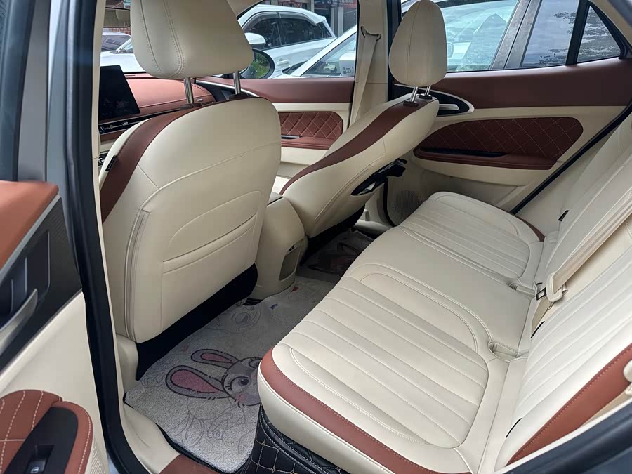 Ora Good Cat 2025 430km Luxury - zdjęcie 5