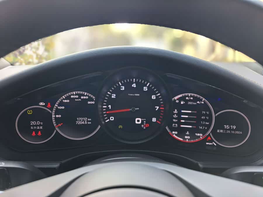 Panamera 2.9T Platinum - zdjęcie 5