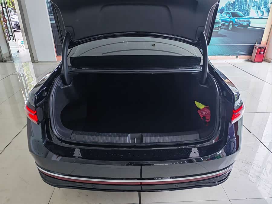 Passat 2025 Pro 380TSI Dragon Edition - zdjęcie 8