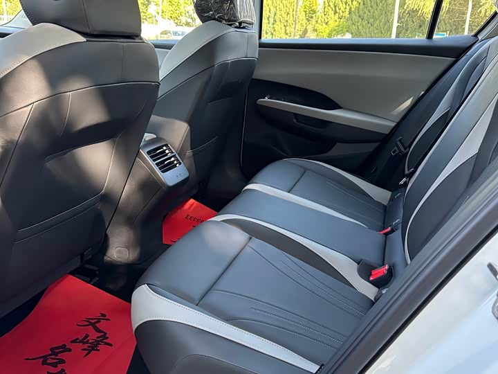Sagitar 2026 L 300TSI DSG Elite - zdjęcie 19