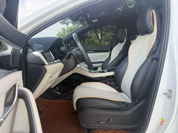 Song PLUS New Energy 2024 Honor EV 520km Premium - zdjęcie 13