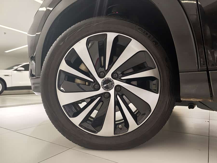 Song PLUS New Energy 2024 Honor EV 520km Premium - zdjęcie 15