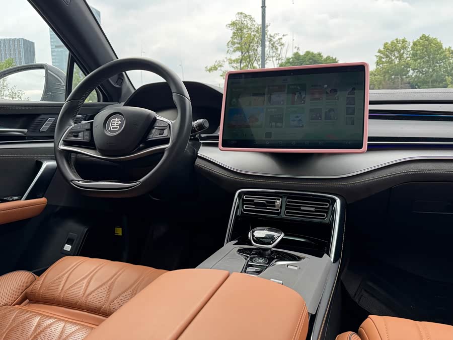 Tang New Energy 2022 DM-p 215KM 4WD Premium - zdjęcie 10
