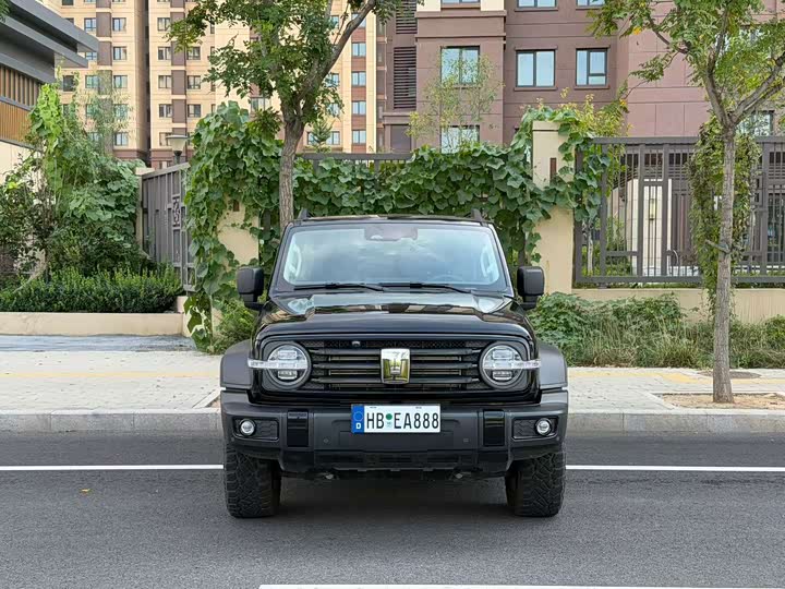 Tank 300 2025 2.0T Gasoline Challenger - zdjęcie 11