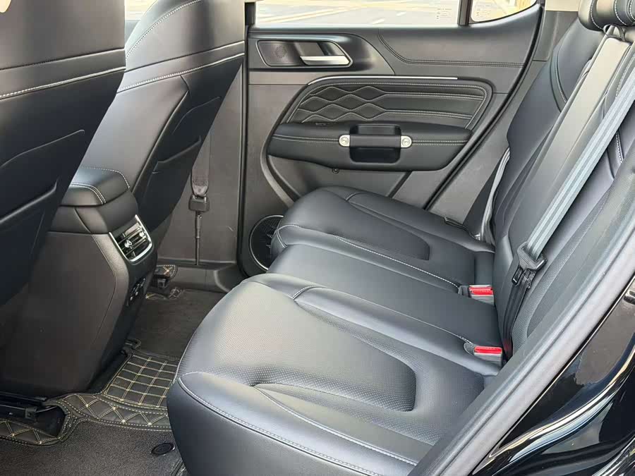 Tank 300 2025 2.0T Gasoline Challenger - zdjęcie 5