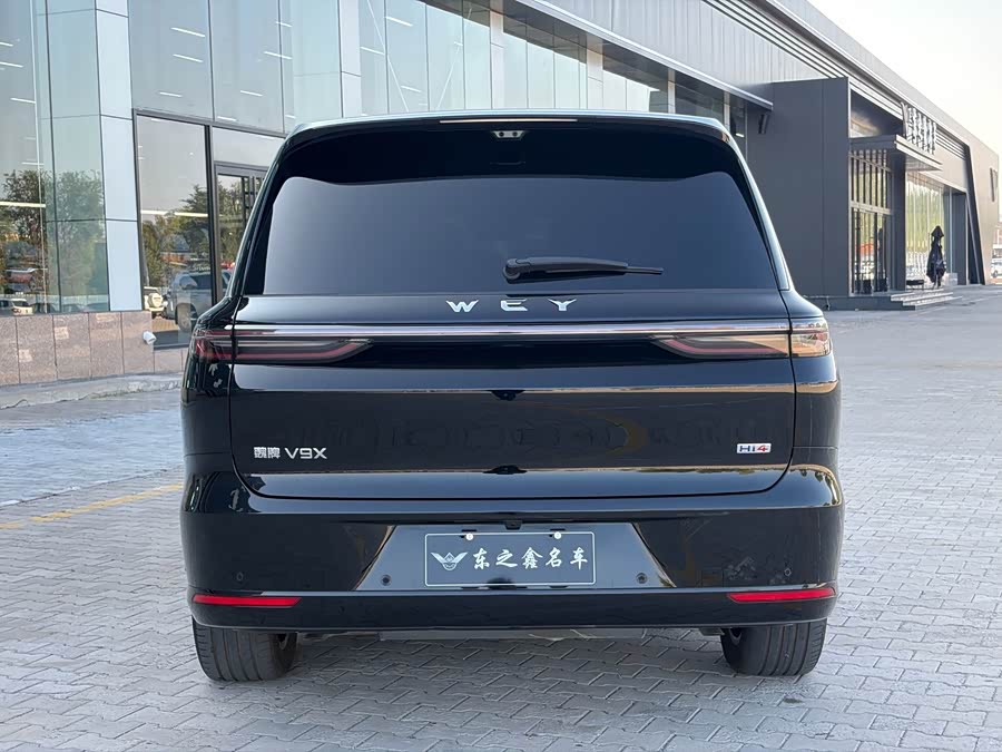 Weipai V9X 2026 Luxury Long Version - zdjęcie 4