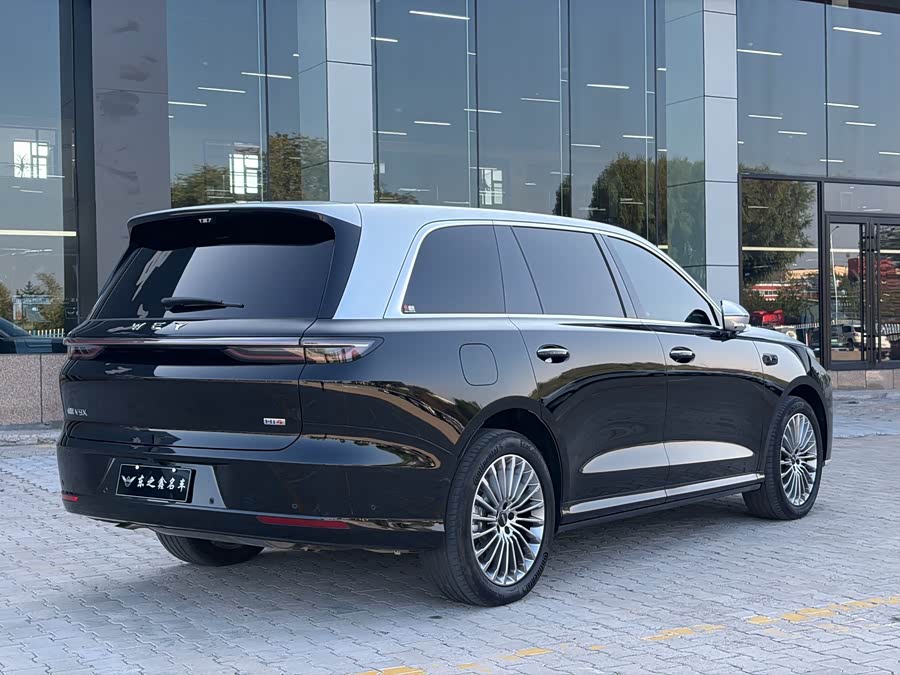 Weipai V9X 2026 Luxury Long Version - zdjęcie 8
