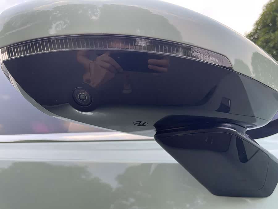 Wuling Xingchen 2.0L DHT - zdjęcie 12