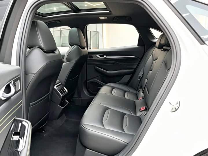 Xingrui 2023 2.0TD Luxury Edition - zdjęcie 11