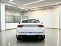 Xingrui 2023 2.0TD Luxury Edition - zdjęcie 20