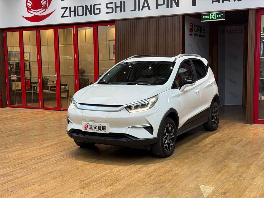 Yuan Pro 2023 401KM Premium - zdjęcie 1