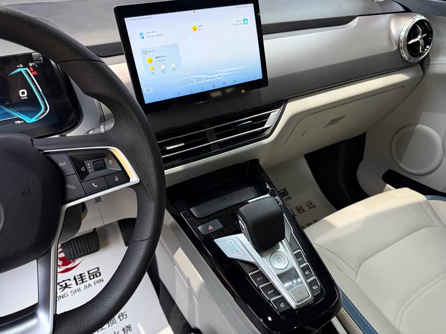 Yuan Pro 2023 401KM Premium - zdjęcie 13