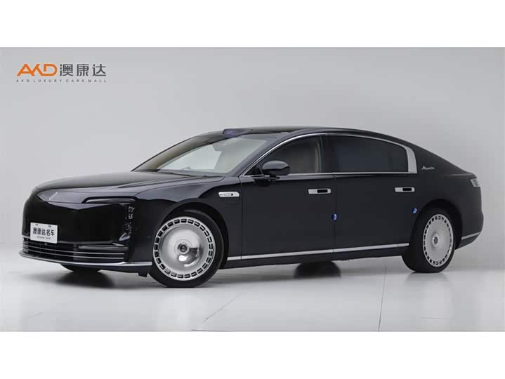 ZunJie S800 2025 EV Starry Executive 4-seater (192-line Laser Radar) - zdjęcie 11